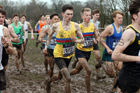 Mens under-20s 2018 British Inter Counties Cross Country Champs., Prestwold Hall, Loughborough. Photo: David T. Hewitson/Sports for All Pics